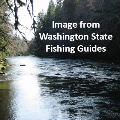 The Calawah River on the Olympic Peninsula of Washington State