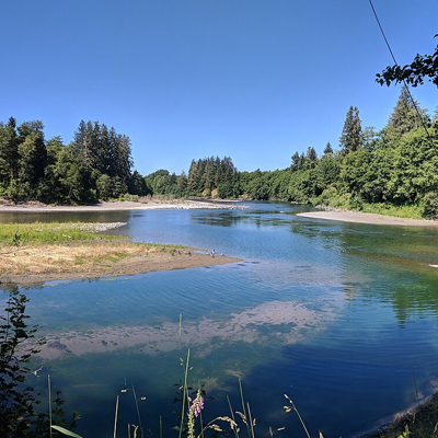 The Quillayute River on the Olympic Peninsula of Washington State