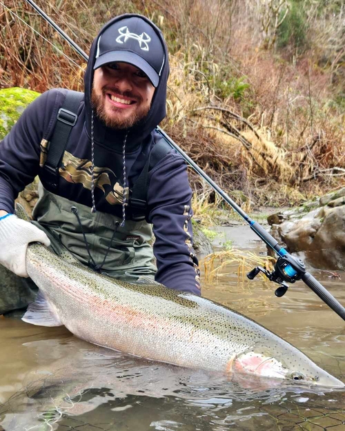 Steelhead Fishing Season